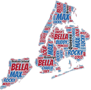 Illustration for article titled Here are New York City’s most popular dog names, mapped out